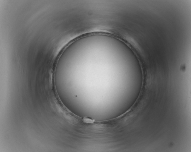 X0000110951268200907022148