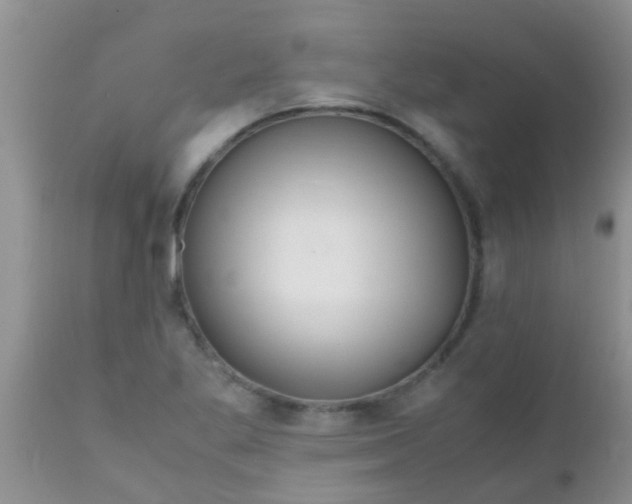 X0000110951269200907022148