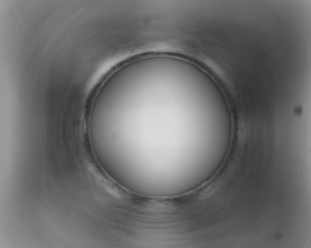 X0000110951270200907022148