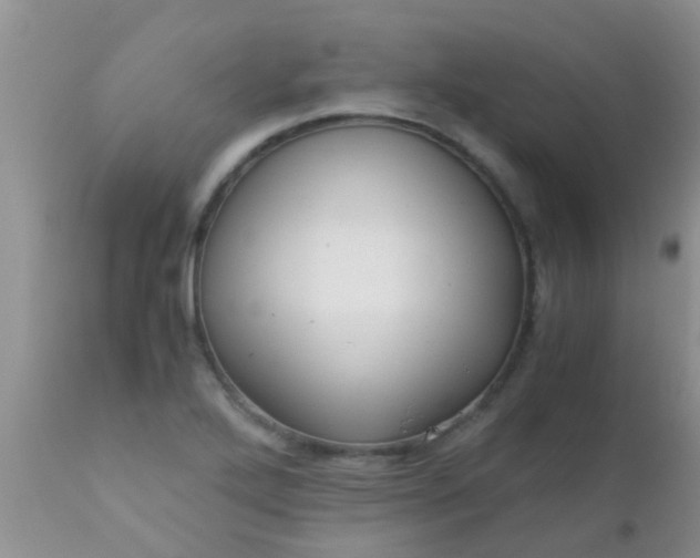 X0000110951272200907022148