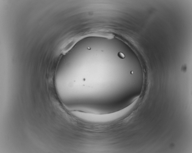 X0000110951273200907022148