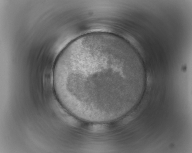 X0000110951274200907022148