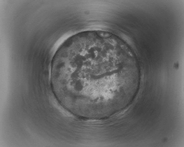 X0000110951275200907022148