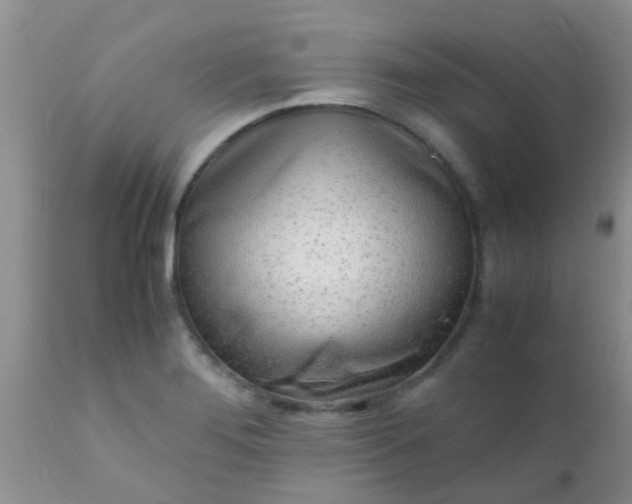 X0000110951276200907022148