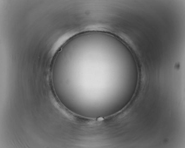 X0000110951277200907022148