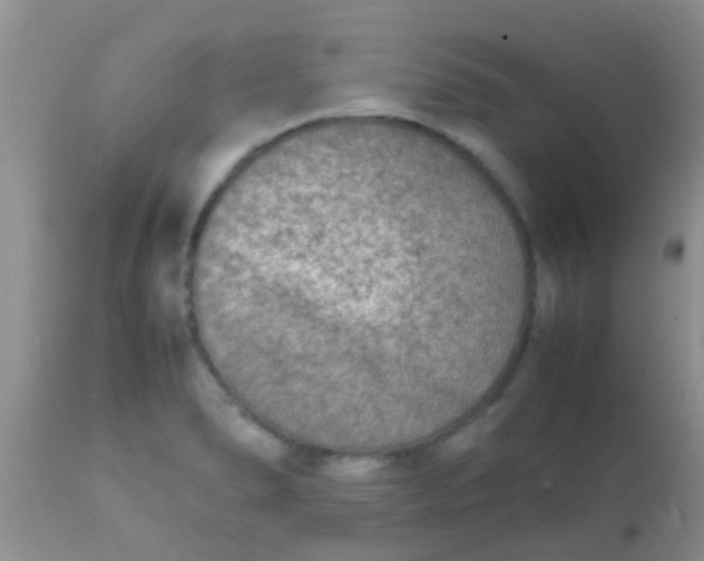 X0000110951278200907022148