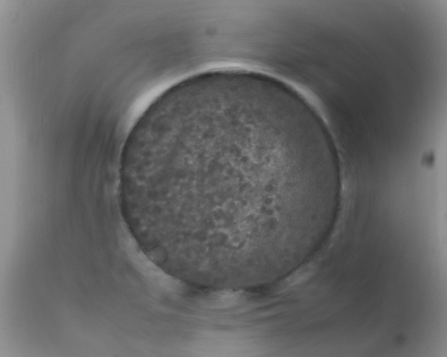 X0000110951279200907022148