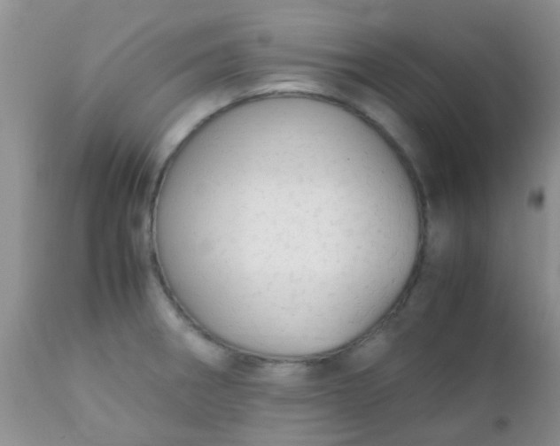 X0000110951282200907022148