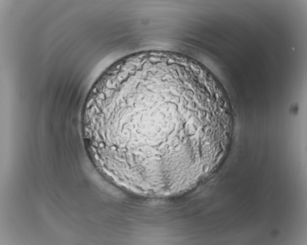 X0000110951283200907022148