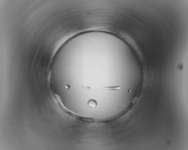 X0000110951284200907022148