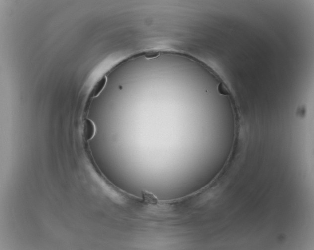 X0000110951285200907022148