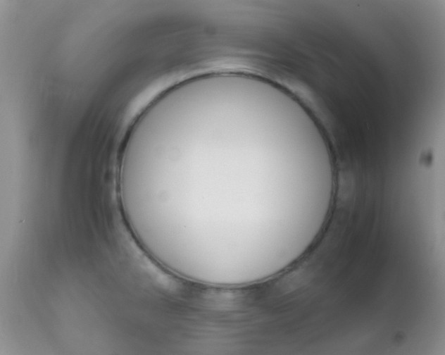 X0000110951286200907022148