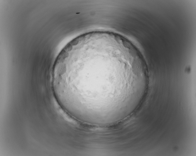 X0000110951287200907022148