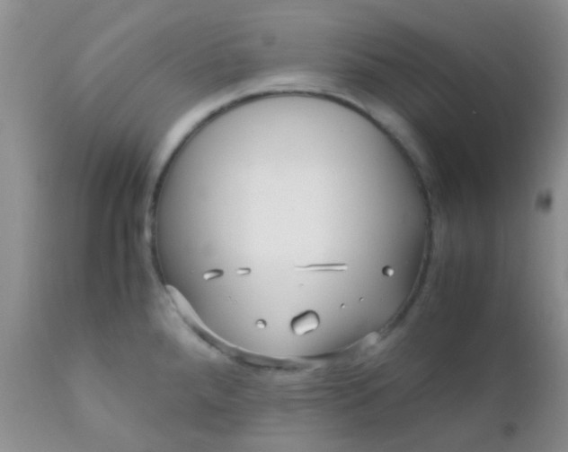 X0000110951288200907022148