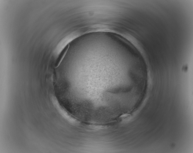 X0000110951289200907022148