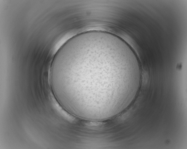 X0000110951290200907022148