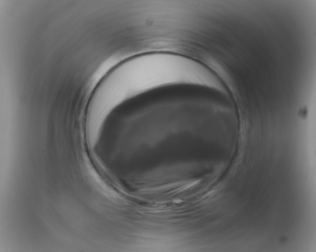 X0000110951291200907022148