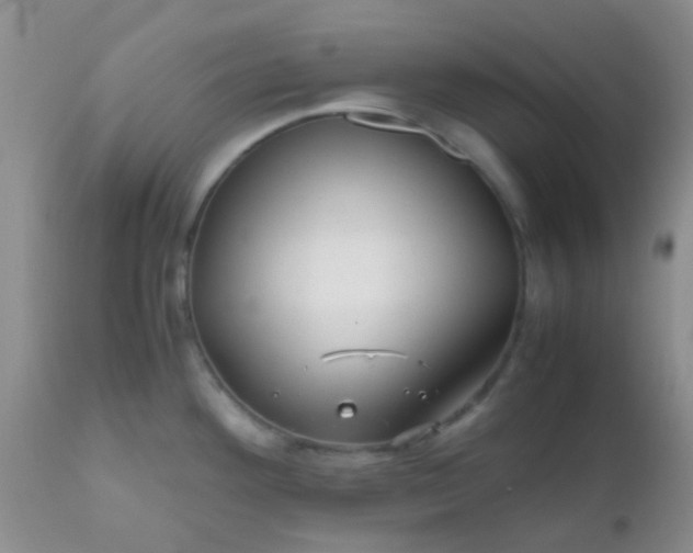 X0000110951292200907022148