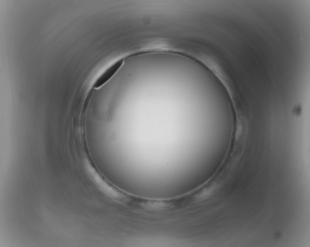 X0000110951293200907022148