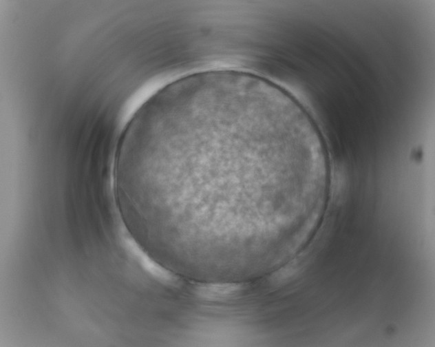 X0000110951294200907022148