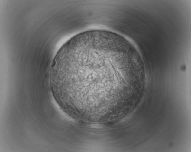 X0000110951295200907022148