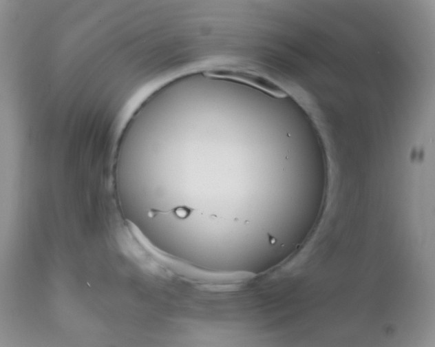 X0000110951296200907022147