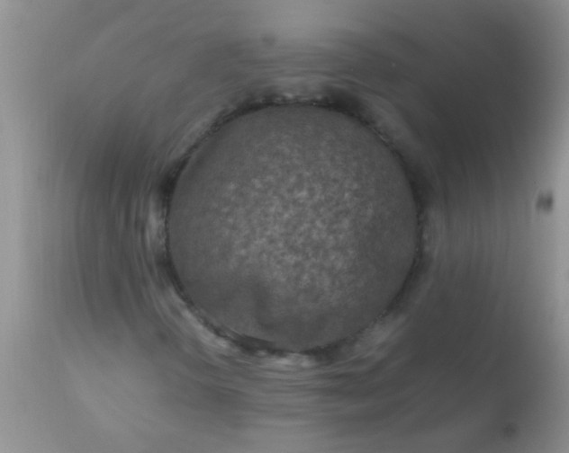 X0000110951298200907022147