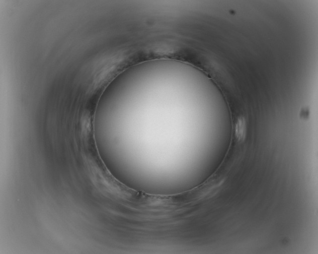 X0000110951299200907022147