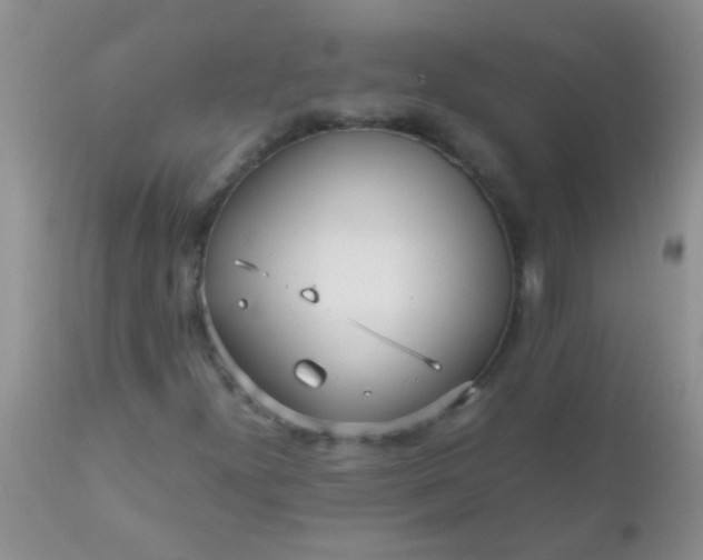 X0000110951300200907022147