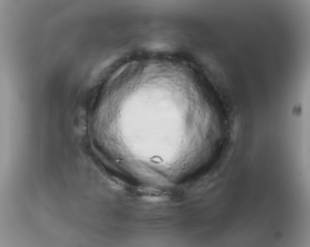 X0000110951301200907022147