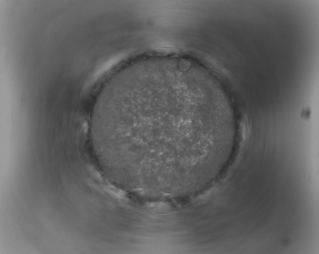 X0000110951302200907022147