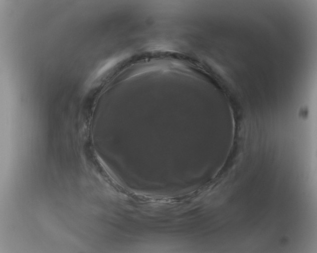 X0000110951303200907022147