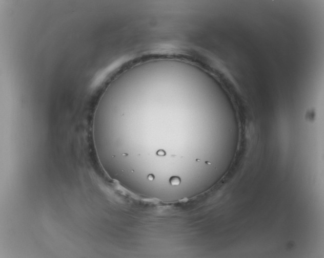 X0000110951304200907022147