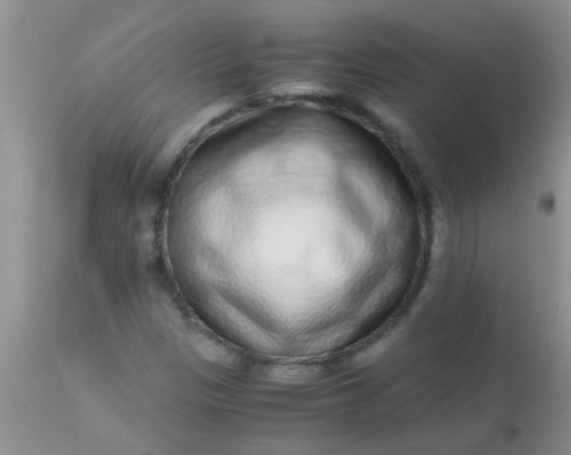 X0000110951305200907022147