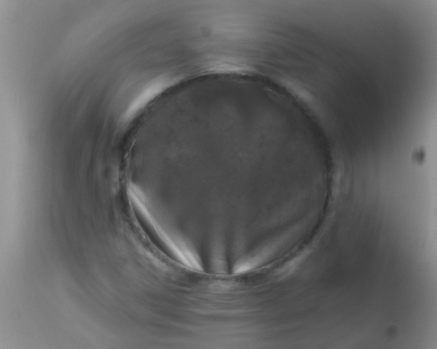 X0000110951306200907022147