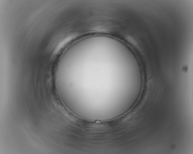 X0000110951307200907022147