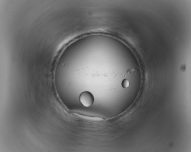 X0000110951308200907022147