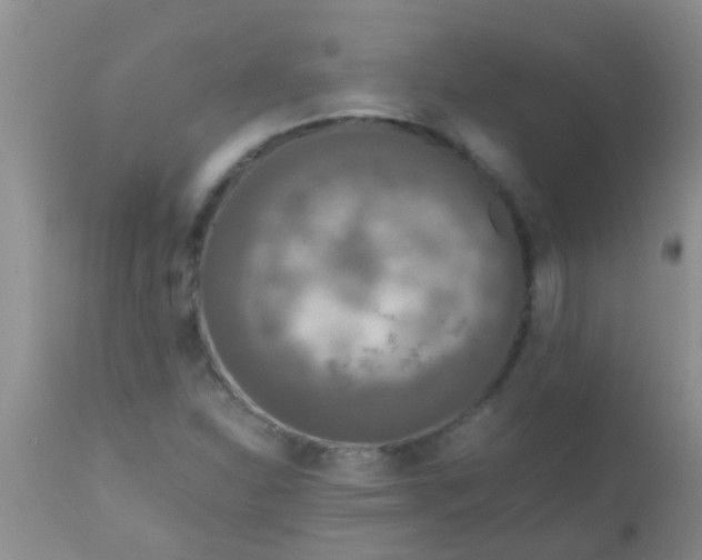 X0000110951310200907022147