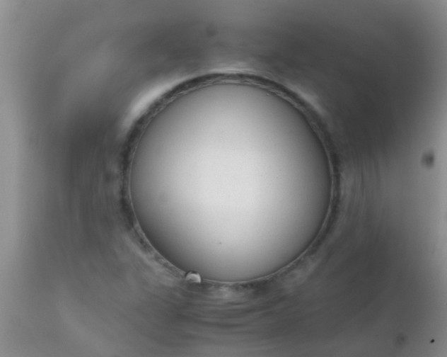 X0000110951311200907022147