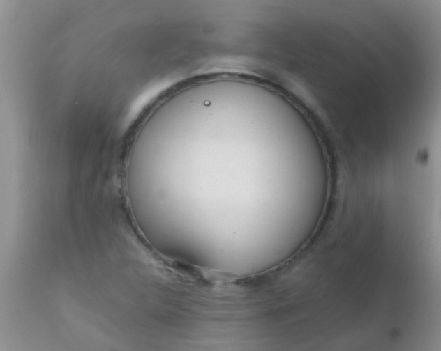 X0000110951312200907022147