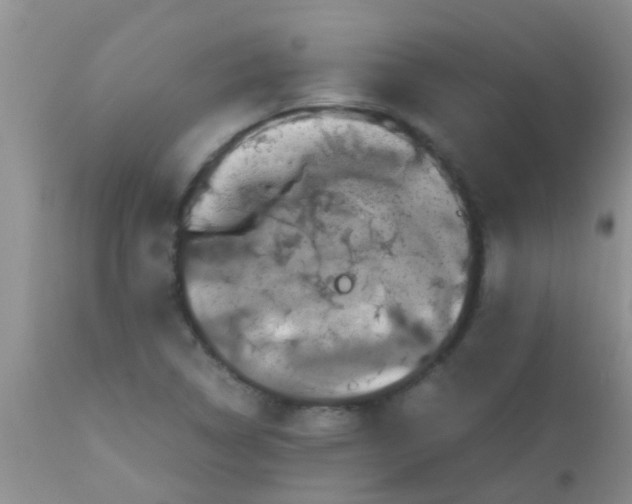 X0000110951314200907022147