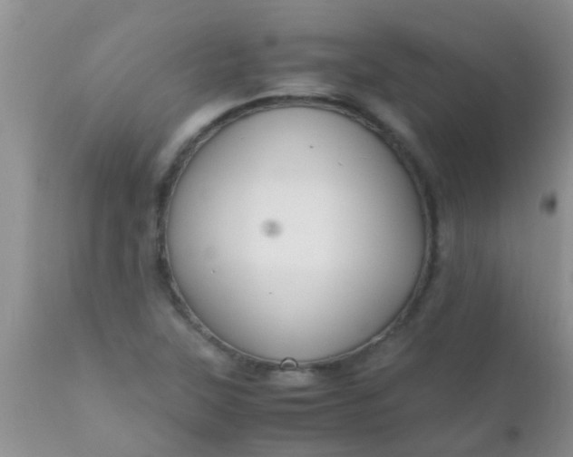 X0000110951315200907022147