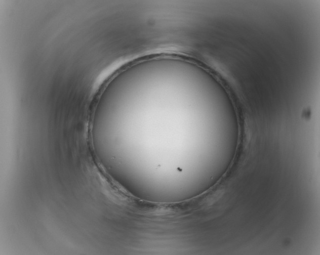 X0000110951316200907022147