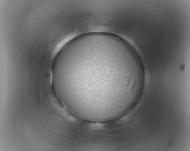 X0000110951317200907022147