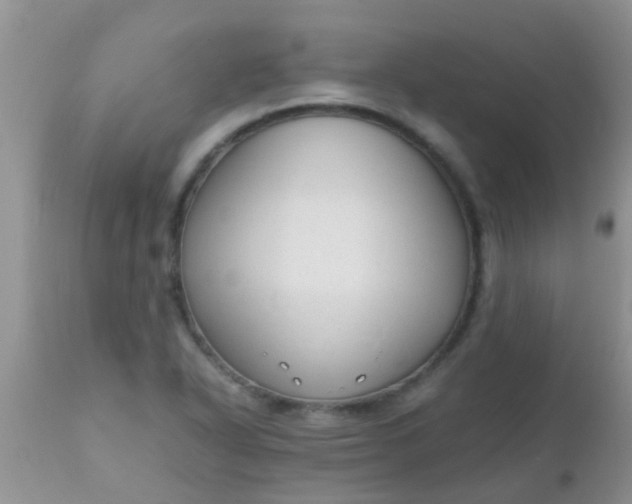 X0000110951318200907022147