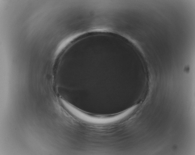 X0000110951319200907022147