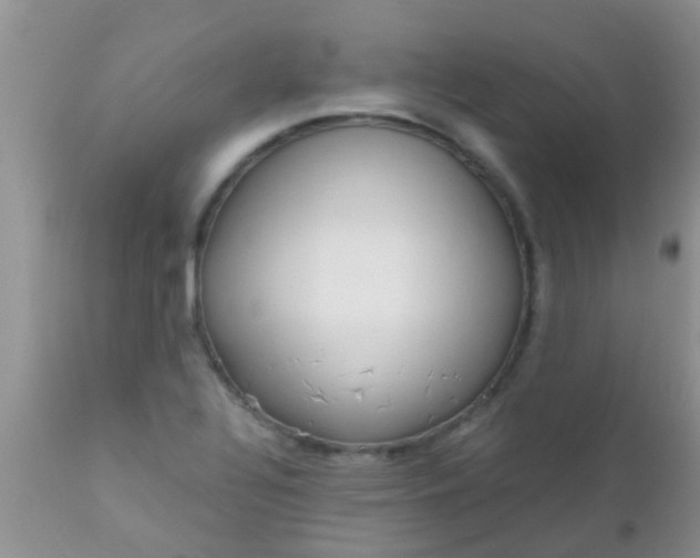 X0000110951320200907022147