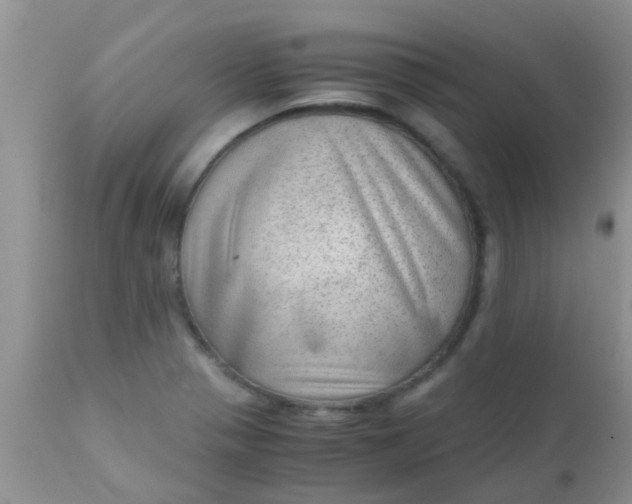 X0000110951321200907022147