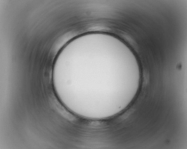 X0000110951322200907022147