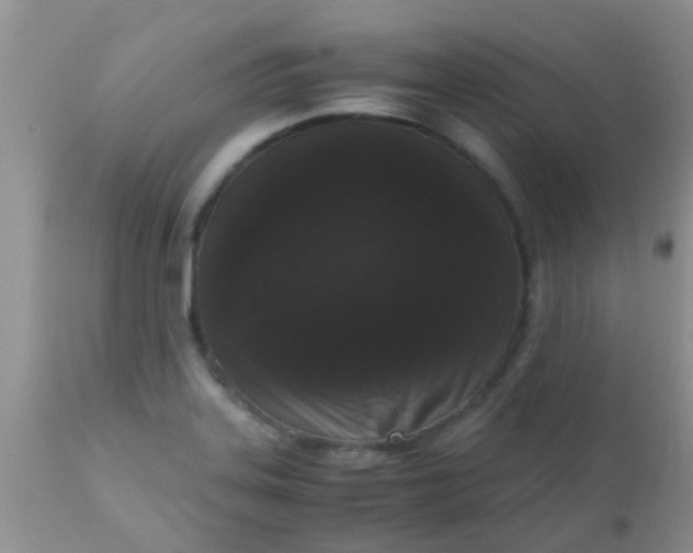 X0000110951323200907022147